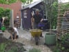 GoudGroen (afl 6 Hoornse Meer)