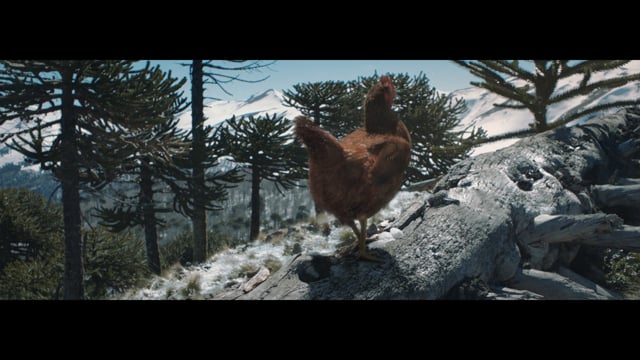 KFC - Customer Case Study