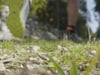 MoTV-Trail Sensation Teaser 2018