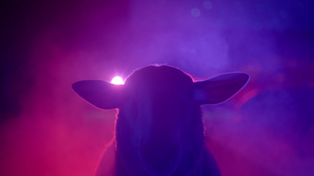 IKEA - Customer Case Study