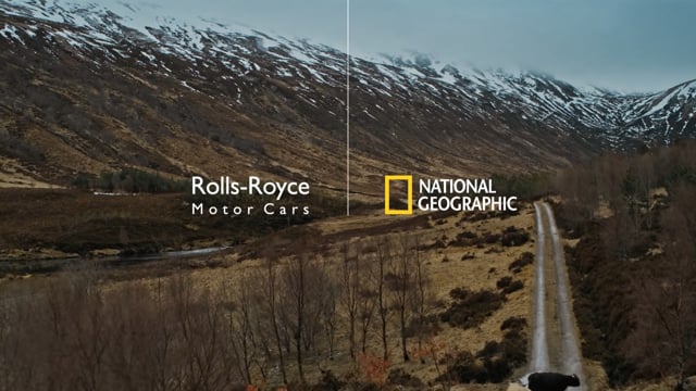 Rolls Royce - Highland Cows