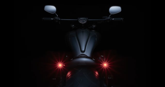 Velvet light on a black beauty