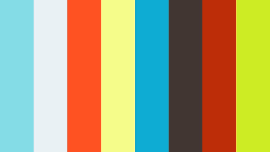 VIDEO CLIPS