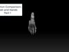 Hands And Feet Part 1