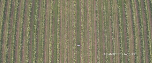 AMAN & JASDEEP NEXT DAY EDIT