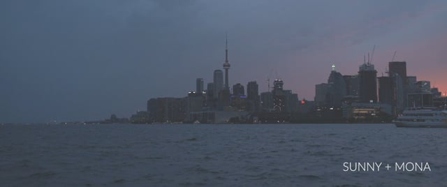 SUNNY & MONA WEDDING NEXT DAY EDIT