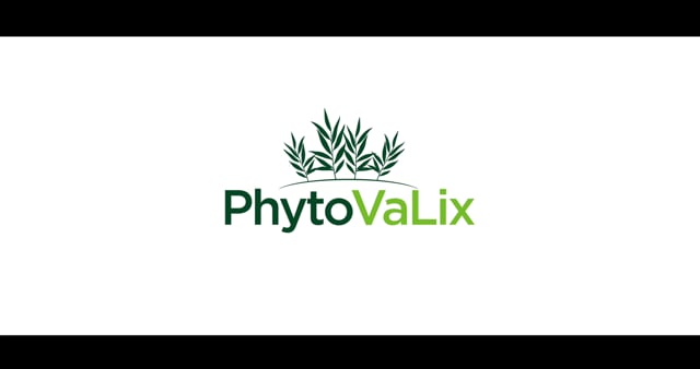 PhytoValix