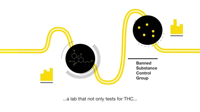 FourFiveCBD - Customer Success Story