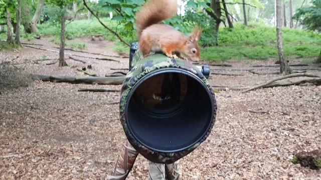 Dorset Wildlife Trust - Customer Success Story (Nicky Hoar - Community & Campaigns Officer)