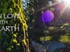 ILWE Facebook commercial