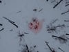 Matthew Barney: Redoubt trailer (short)