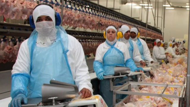 Avicultura brasileña en tiempos de pandemia y más allá