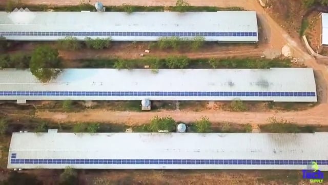 Granja Caracol produce energía con sistema fotovoltaico