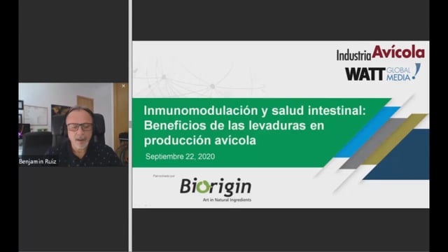 Inmunomodulación y salud intestinal: Beneficios de las levaduras en producción avícola
