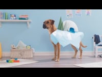 Chicco Orsetto Parlante