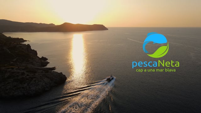 Pescaneta video campaign
