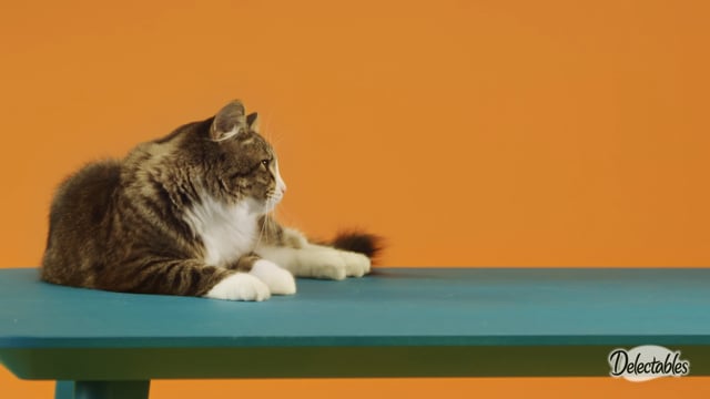 HARTZ: Delectables (:30) | Social/Commercial