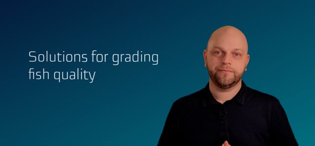 MEASURING THE QUALITY OF FISH