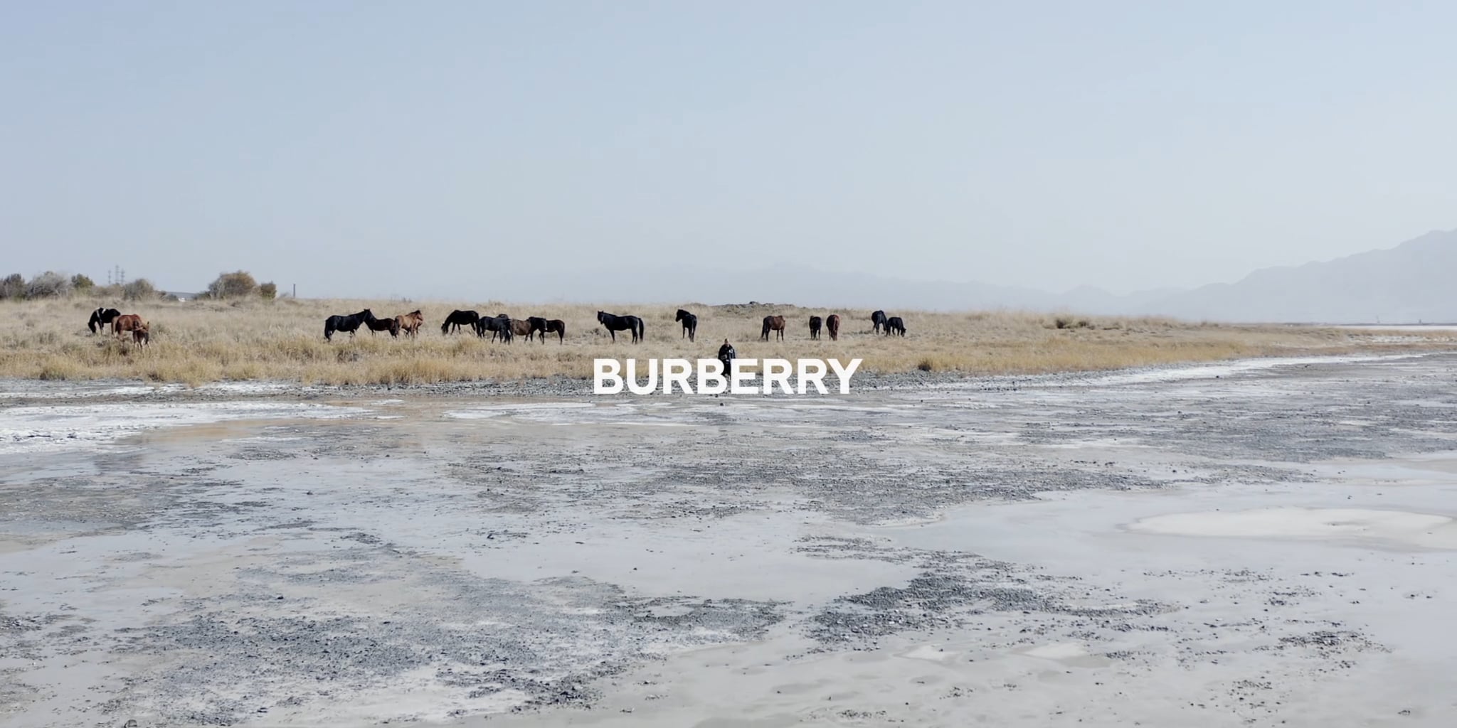 Burberry 新疆
