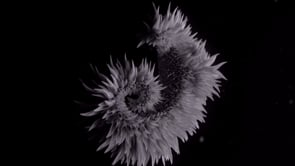 Pr&eacute;sentation VFX
