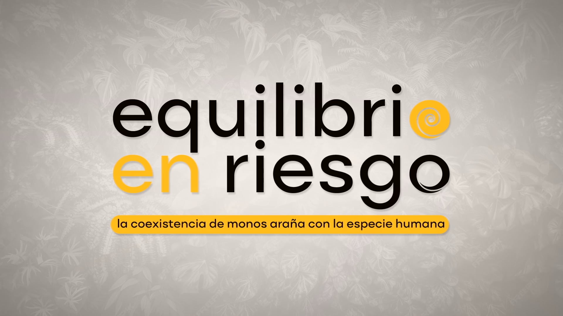 Equilibrio en Riesgo