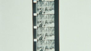 i【真作】 アンナ・オルシェウスカ 風景 1988年 ポーランド N-9 8