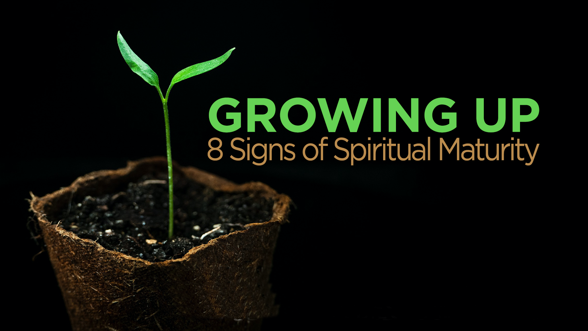 Growing Up - 8 signs of Spiritual Maturity