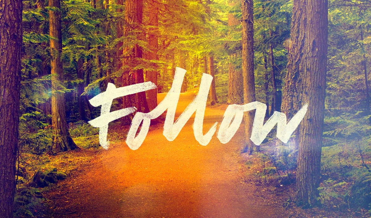 Follow logo. Top follow.