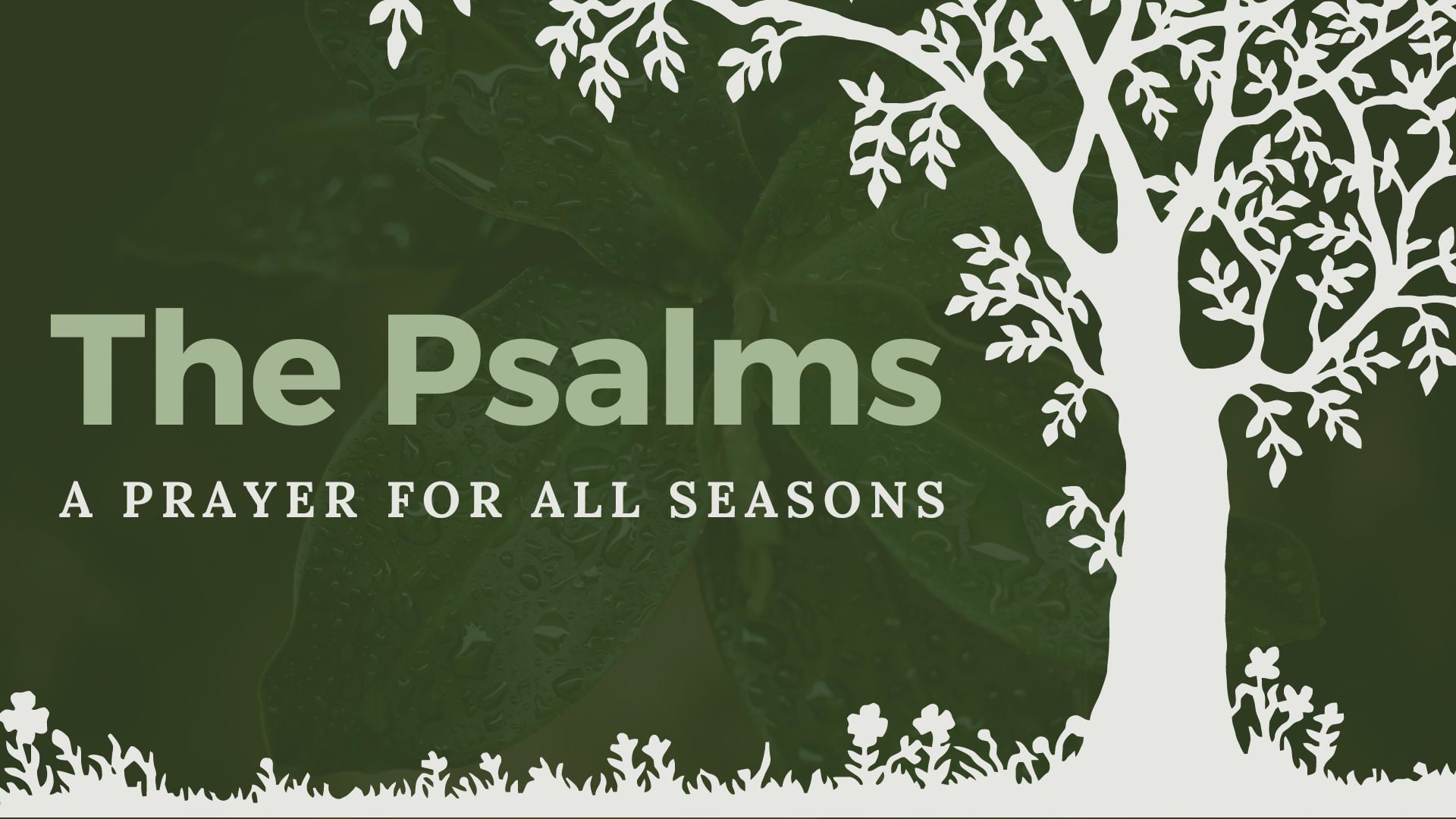 The Psalms: A Prayer for All Seasons