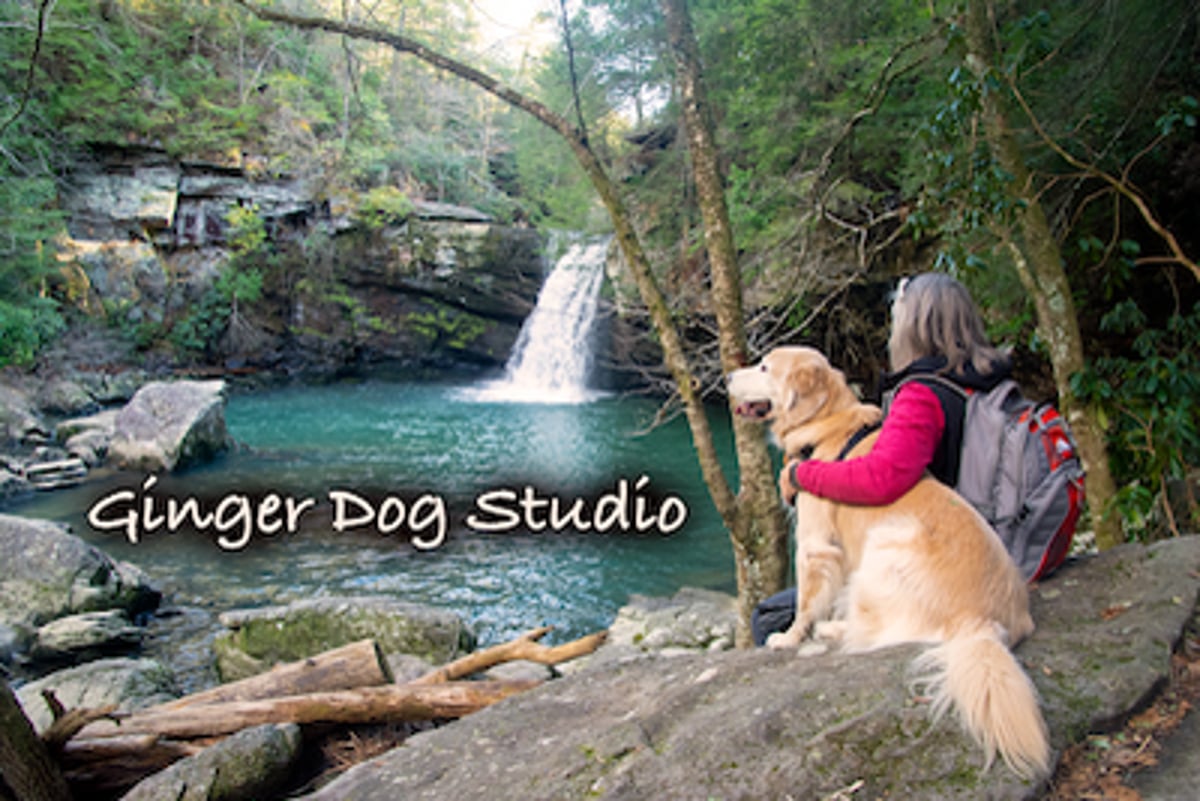 Ginger Dog Studio on Vimeo