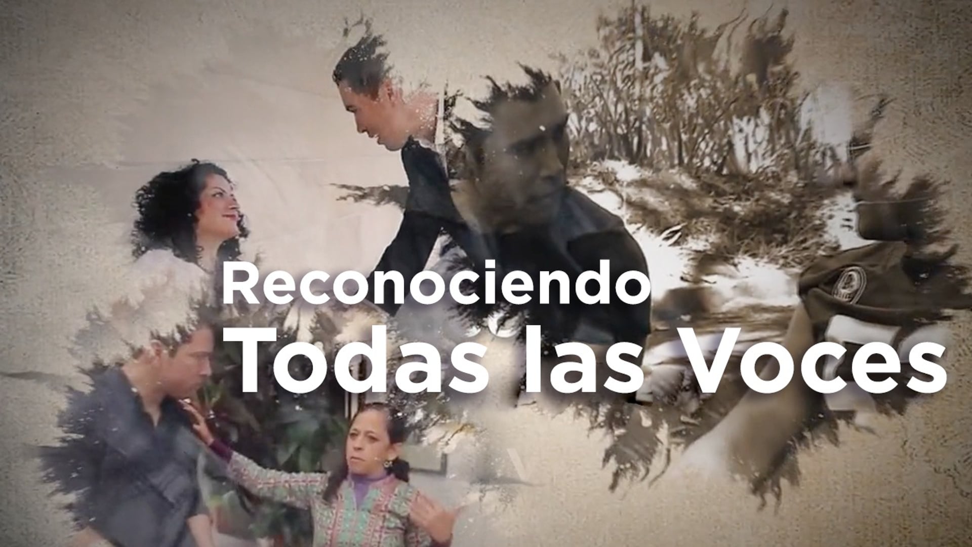 Reconociendo Todas las Voces