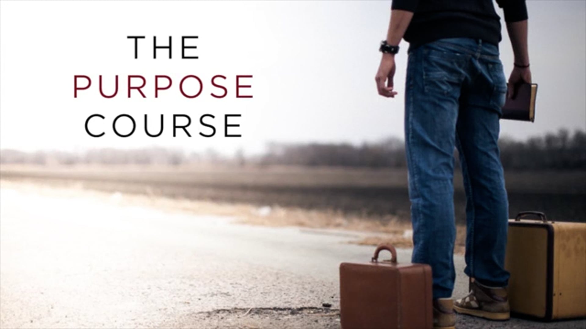 The Purpose Course