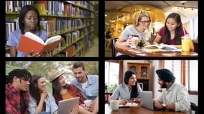 Library Website & Services
