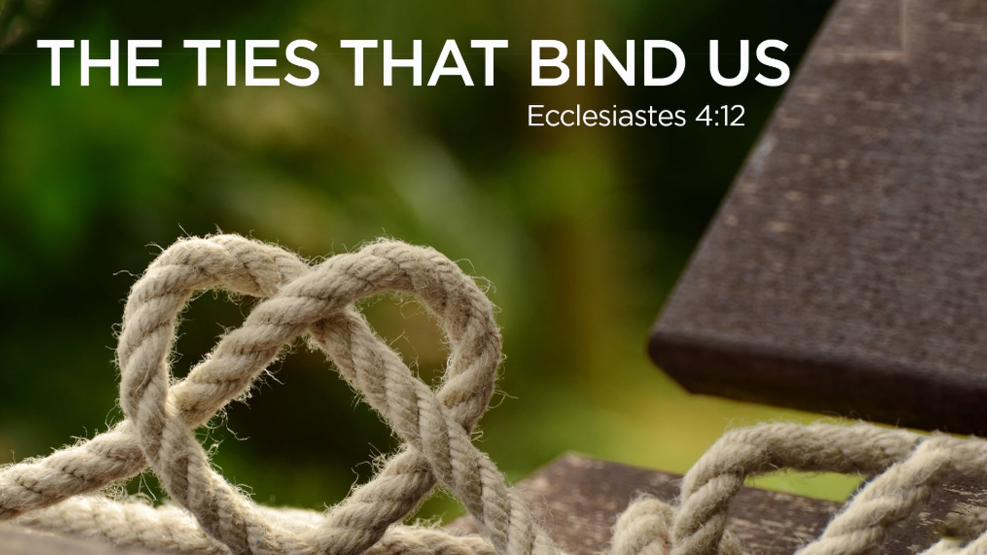 The Ties That Bind Us