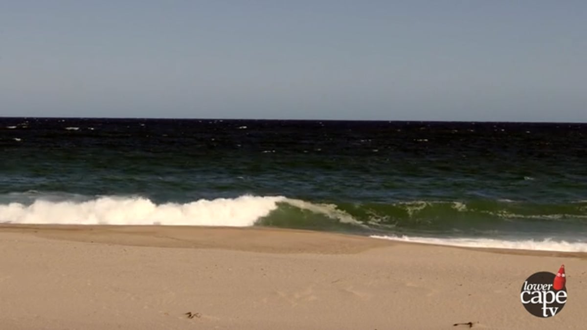 Cape Cod Postcards