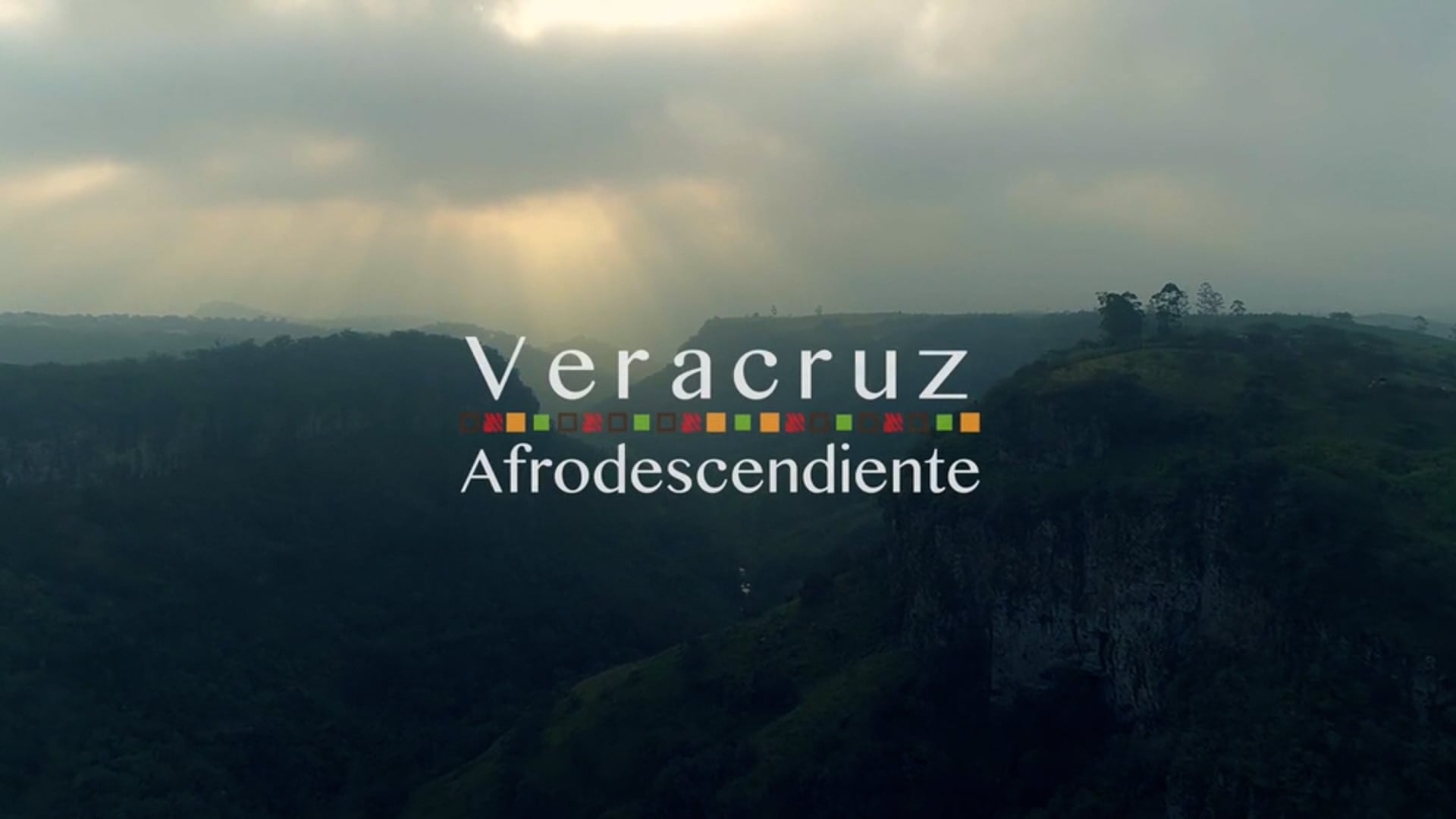 Veracruz Afrodescendiente