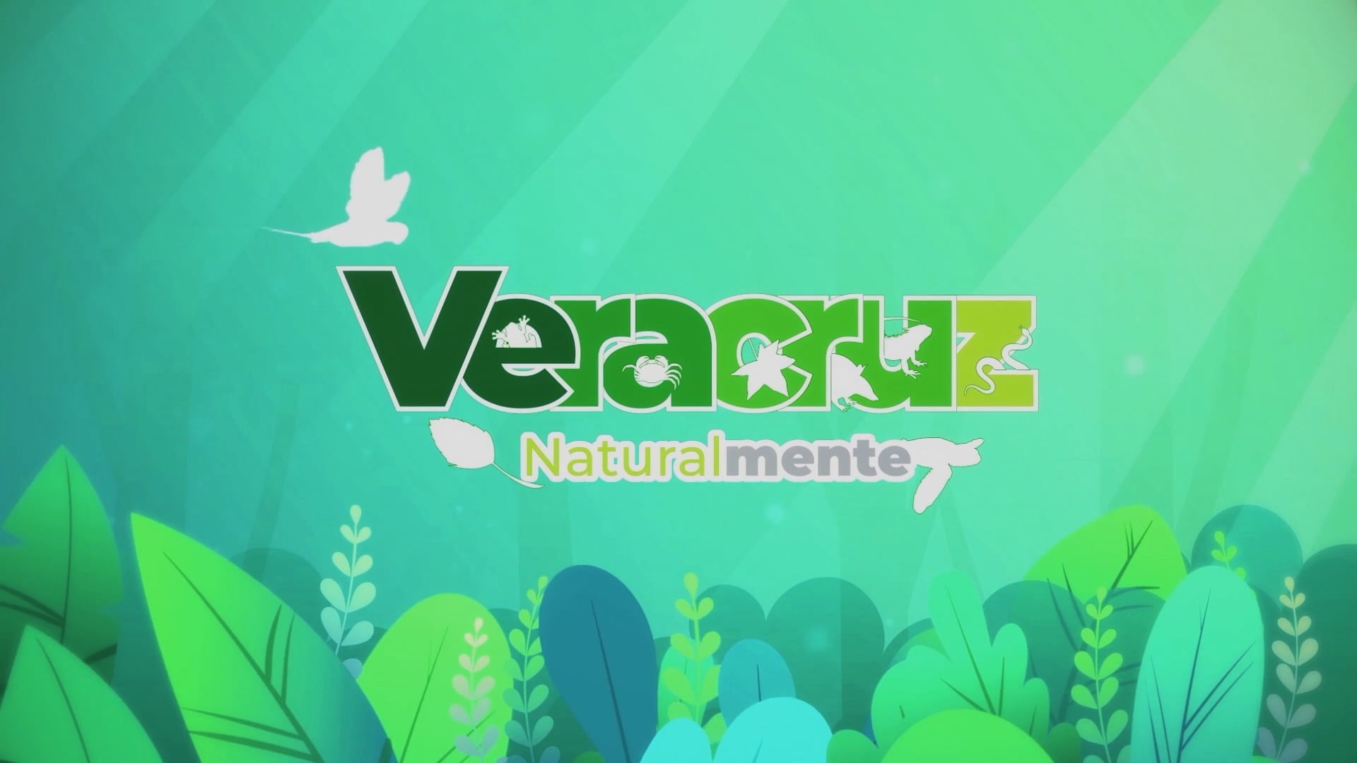 Veracruz Naturalmente