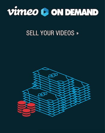 What Type of  Videos Make the Most Money?