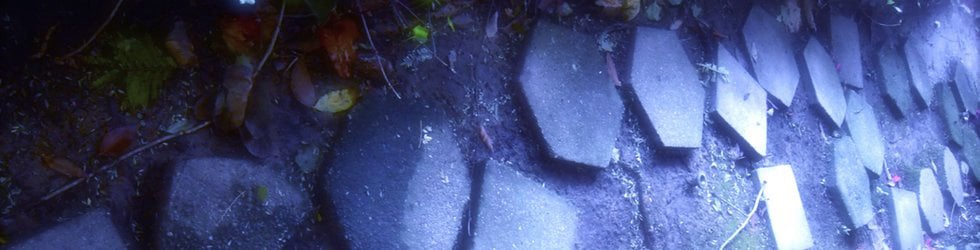 Ergodic Cinema Project on MUBI Garage