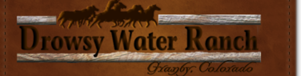 Drowsywater Dude & Guest Ranch
