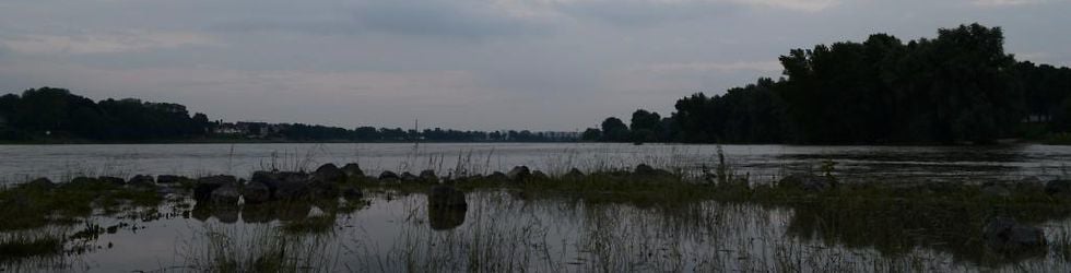 Video - Art - Nature