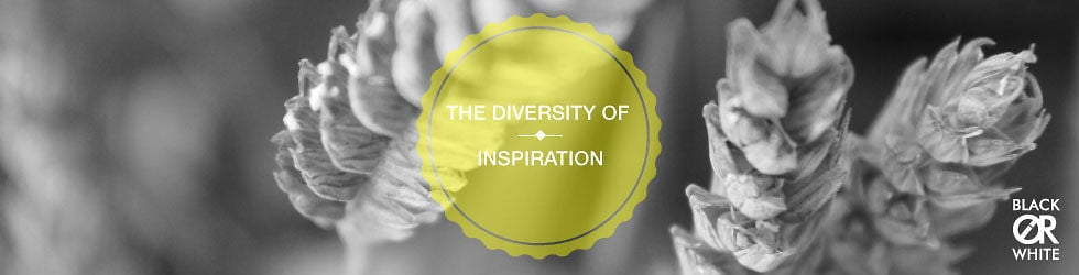 BlackorWhite - The diversity of inspiration