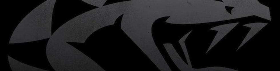 Magic Mascot in Arizona Rattlers on Vimeo