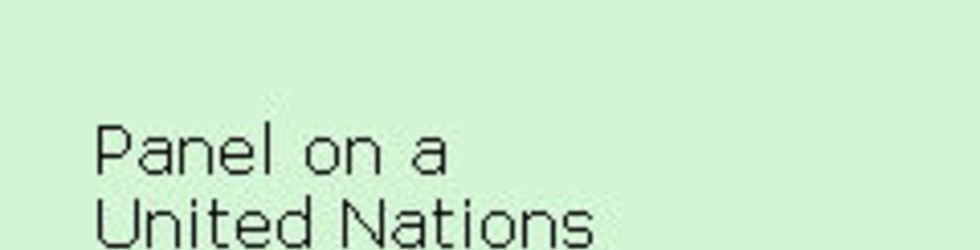 Panel on a United Nations Parliamentary Assembly