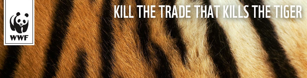 WWF