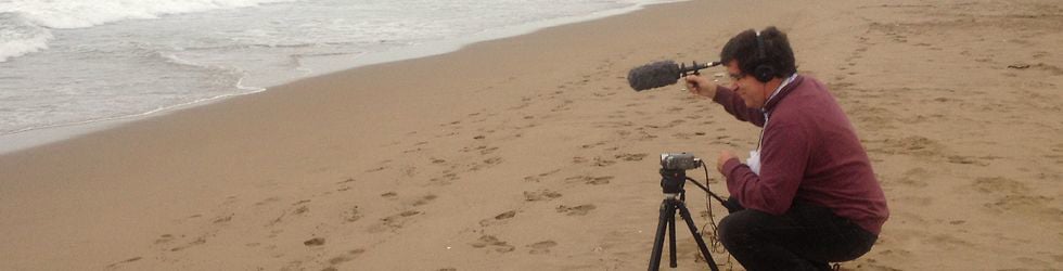 EL DESVAN DE LES PEL&Iacute;CULES