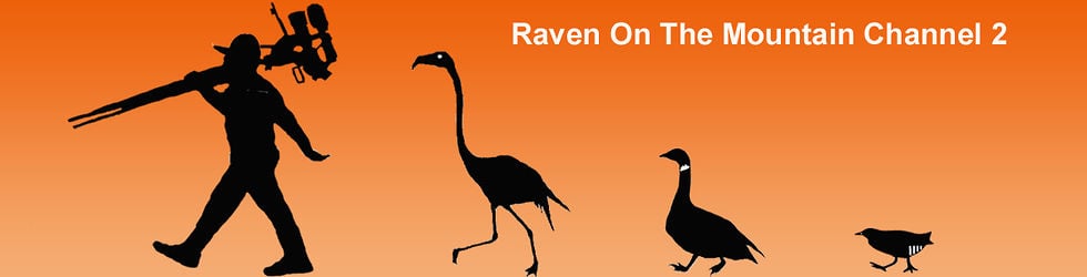 Raven On The Mountain Channel 2