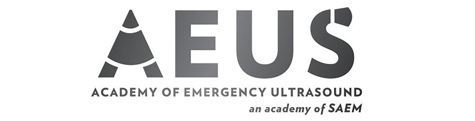 AEUS Narrated Lecture Series