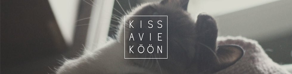 kissa viek&ouml;&ouml;n