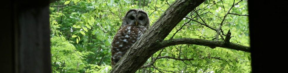 widicus bill smith on Vimeo